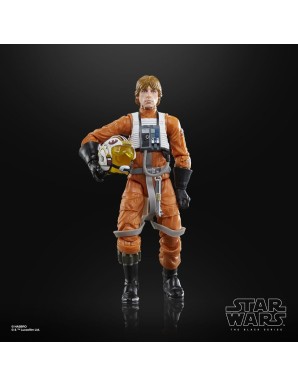 Hasbro Star Wars The Black Series Luke Skywalker