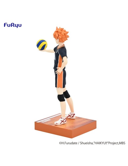 Furyu TENITOL Haikyu!! To The Top Shoyo Hinata