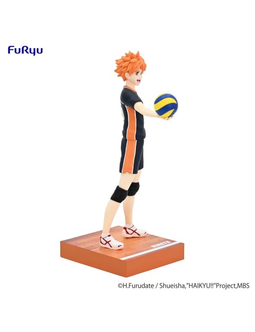 Furyu TENITOL Haikyu!! To The Top Shoyo Hinata