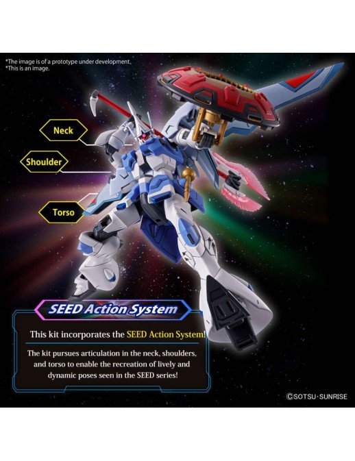 Bandai High Grade HGCE 1/144 Mobile Suit Gundam Gyan Storm Agnes Giebenrath Custom
