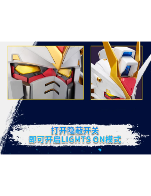 Bandai BN Head Collection Vol.2 Mobile Suit Gundam ZGMF-X20A Strike Freedom Gundam Head Sculpt