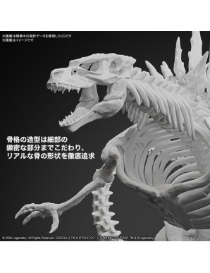 Bandai Godzilla x Kong: The New Empire Godzilla