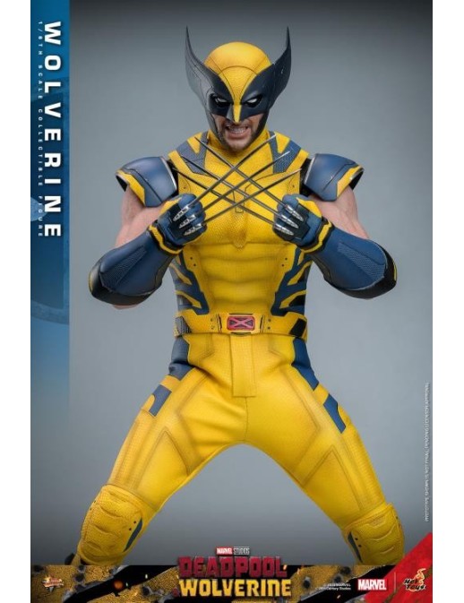 Hot Toys Movie Masterpiece Deadpool & Wolverine Wolverine 1/6 Scale Collectible Figure