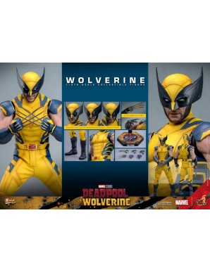 Hot Toys Movie Masterpiece Deadpool & Wolverine Wolverine 1/6 Scale Collectible Figure Set