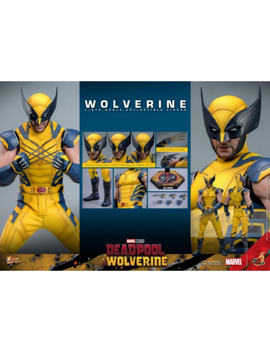 Hot Toys Movie Masterpiece Deadpool & Wolverine Wolverine 1/6 Scale Collectible Figure Hot Toys Movie Masterpiece Deadpool & Wolverine Wolverine 1/6 Scale Collectible Figure