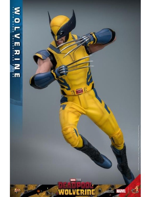 Hot Toys Movie Masterpiece Deadpool & Wolverine Wolverine 1/6 Scale Collectible Figure