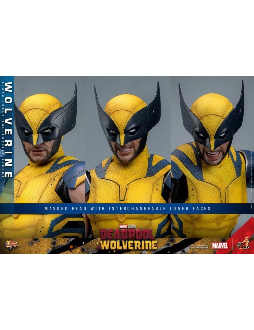 Hot Toys Movie Masterpiece Deadpool & Wolverine Wolverine 1/6 Scale Collectible Figure
