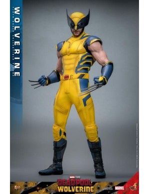 Hot Toys Movie Masterpiece Deadpool & Wolverine Wolverine 1/6 Scale Collectible Figure