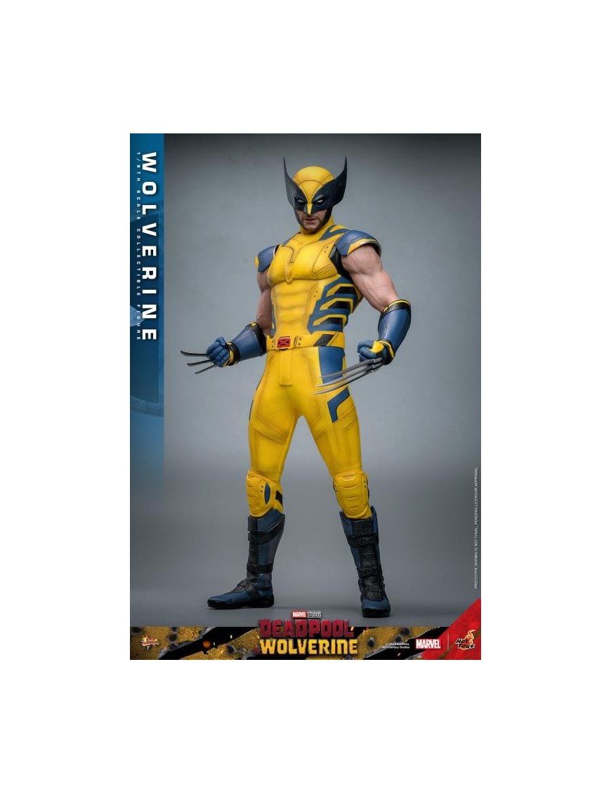 Hot Toys Movie Masterpiece Deadpool & Wolverine Wolverine 1/6 Scale Collectible Figure Set
