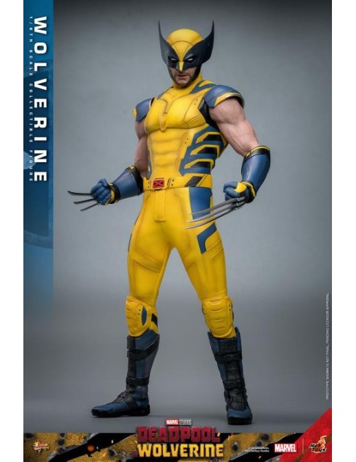 Hot Toys Movie Masterpiece Deadpool & Wolverine Wolverine 1/6 Scale Collectible Figure Set