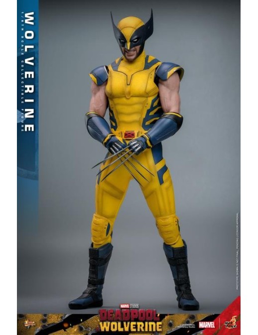 Hot Toys Movie Masterpiece Deadpool & Wolverine Wolverine 1/6 Scale Collectible Figure