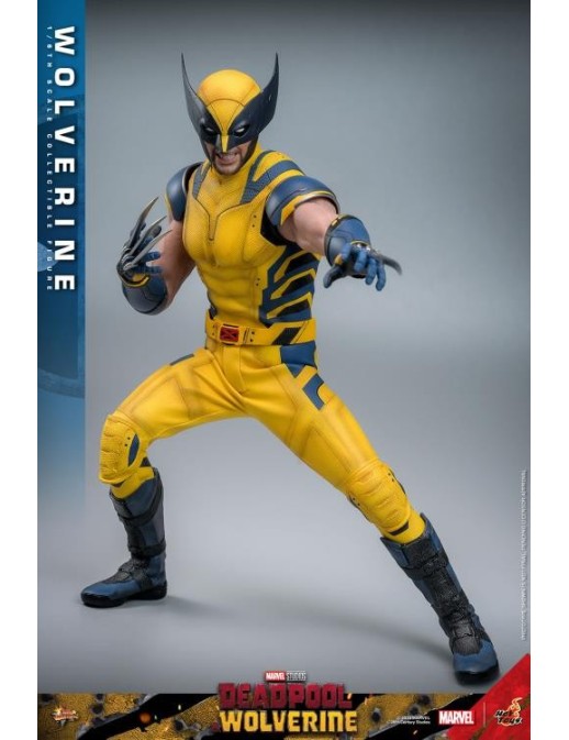 Hot Toys Movie Masterpiece Deadpool & Wolverine Wolverine 1/6 Scale Collectible Figure