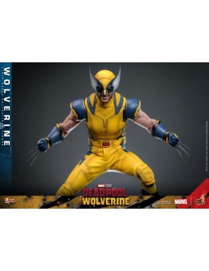Hot Toys Movie Masterpiece Deadpool & Wolverine Wolverine 1/6 Scale Collectible Figure