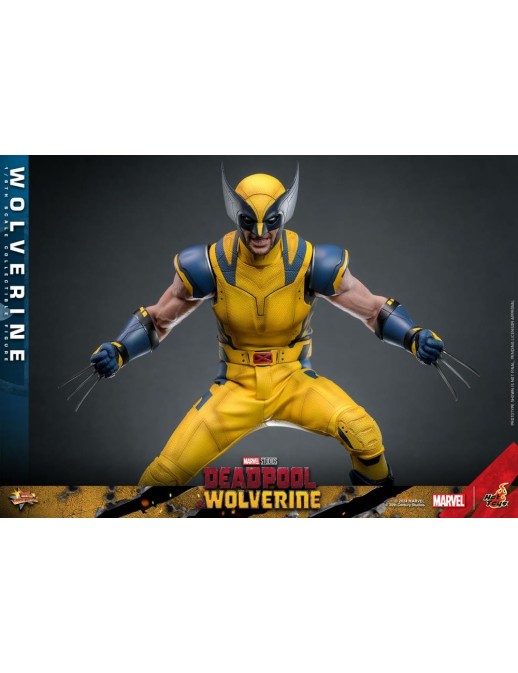 Hot Toys Movie Masterpiece Deadpool & Wolverine Wolverine 1/6 Scale Collectible Figure