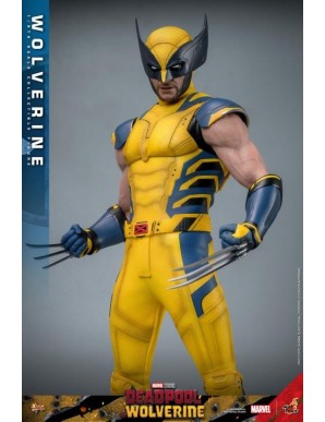 Hot Toys Movie Masterpiece Deadpool & Wolverine Wolverine 1/6 Scale Collectible Figure