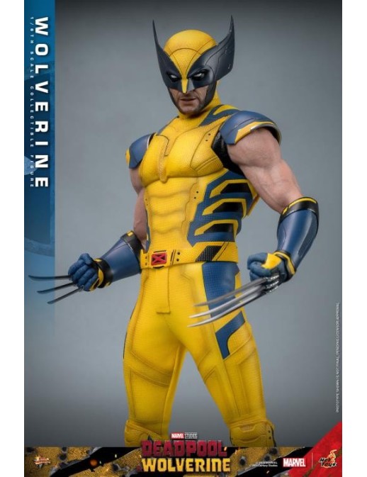 Hot Toys Movie Masterpiece Deadpool & Wolverine Wolverine 1/6 Scale Collectible Figure Set