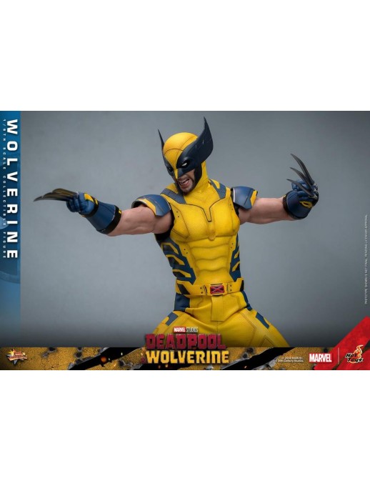 Hot Toys Movie Masterpiece Deadpool & Wolverine Wolverine 1/6 Scale Collectible Figure Set