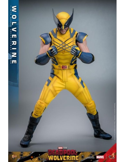 Hot Toys Movie Masterpiece Deadpool & Wolverine Wolverine 1/6 Scale Collectible Figure Set