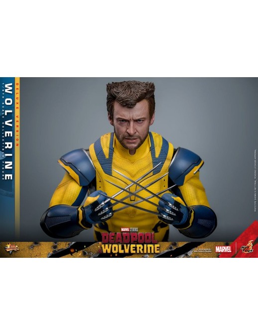 Hot Toys Movie Masterpiece Deadpool & Wolverine Wolverine 1/6 Scale Collectible Figure Deluxe Edition