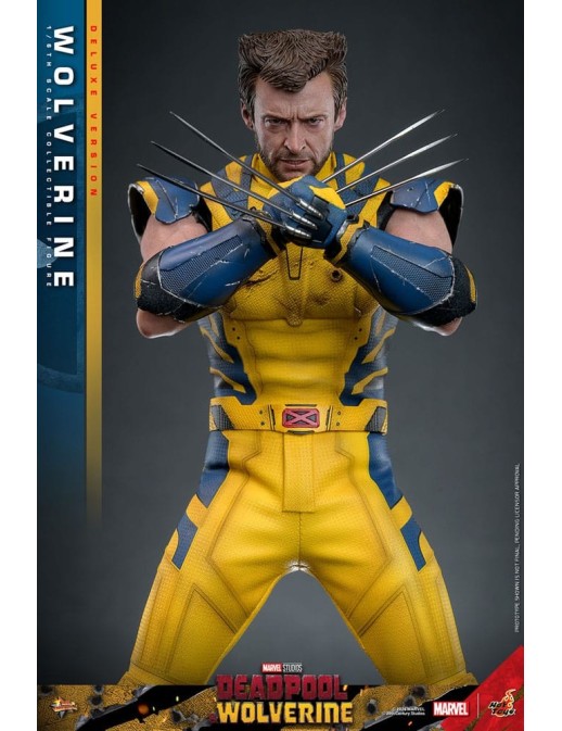 Hot Toys Movie Masterpiece Deadpool & Wolverine Wolverine 1/6 Scale Collectible Figure Deluxe Edition