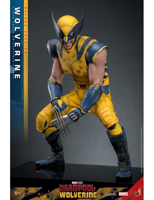 Hot Toys Movie Masterpiece Deadpool & Wolverine Wolverine 1/6 Scale Collectible Figure Deluxe Edition