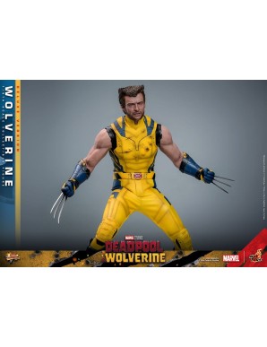 Hot Toys Movie Masterpiece Deadpool & Wolverine Wolverine 1/6 Scale Collectible Figure Deluxe Edition