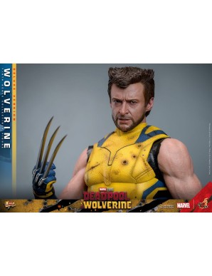 Hot Toys Movie Masterpiece Deadpool & Wolverine Wolverine 1/6 Scale Collectible Figure Deluxe Edition