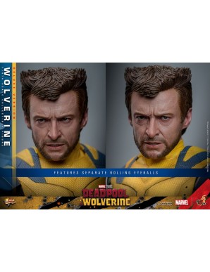 Hot Toys Movie Masterpiece Deadpool & Wolverine Wolverine 1/6 Scale Collectible Figure Deluxe Edition