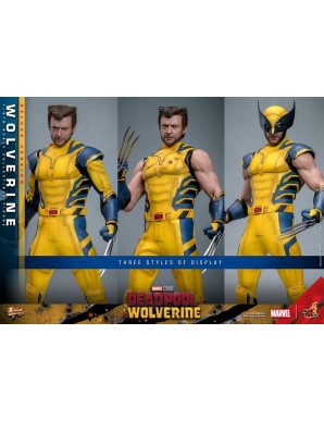 Hot Toys Movie Masterpiece Deadpool & Wolverine Wolverine 1/6 Scale Collectible Figure Deluxe Edition