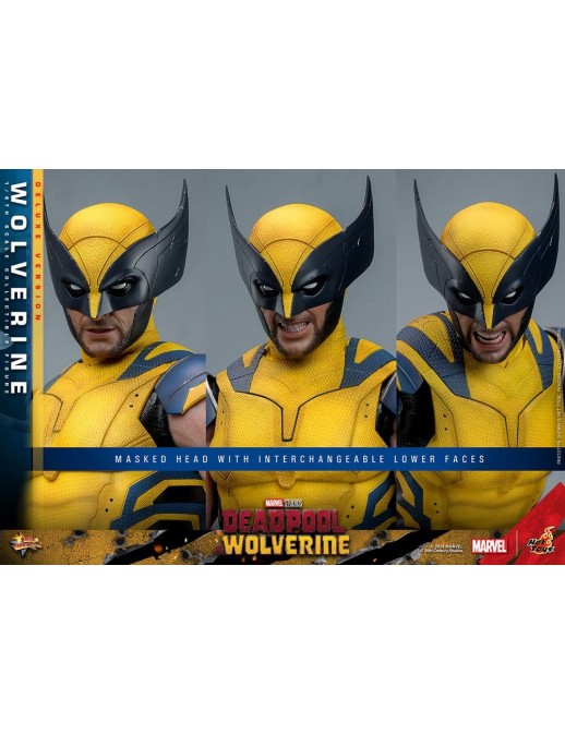 Hot Toys Movie Masterpiece Deadpool & Wolverine Wolverine 1/6 Scale Collectible Figure Deluxe Edition