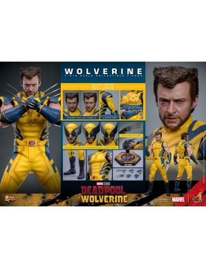 Hot Toys Movie Masterpiece Deadpool & Wolverine Wolverine 1/6 Scale Collectible Figure Deluxe Edition