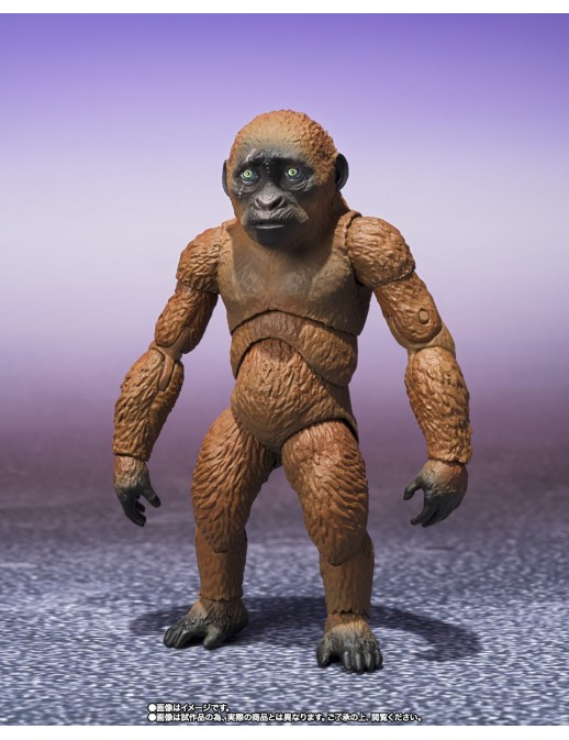 Bandai S.H. MonsterArts Godzilla x Kong The New Empire Suko & Mothra