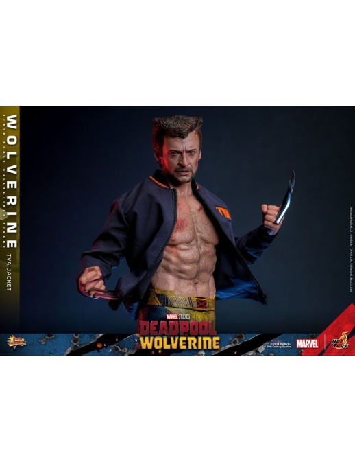 Hot Toys Movie Masterpiece Deadpool & Wolverine Wolverine TVS Jacket Version 1/6 Scale Collectible Figure