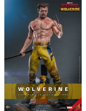 Hot Toys Movie Masterpiece Deadpool & Wolverine Wolverine TVS Jacket Version 1/6 Scale Collectible Figure