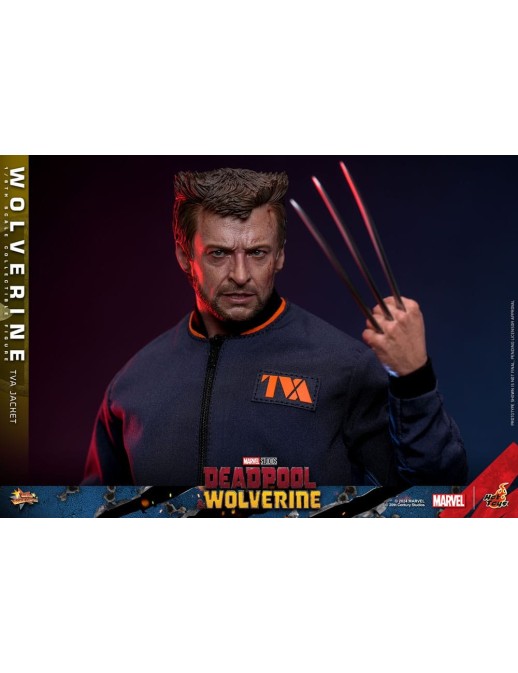 Hot Toys Movie Masterpiece Deadpool & Wolverine Wolverine TVS Jacket Version 1/6 Scale Collectible Figure