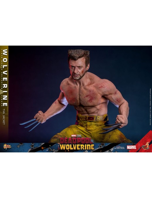 Hot Toys Movie Masterpiece Deadpool & Wolverine Wolverine TVS Jacket Version 1/6 Scale Collectible Figure