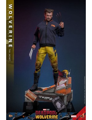Hot Toys Movie Masterpiece Deadpool & Wolverine Wolverine TVS Jacket Version 1/6 Scale Collectible Figure