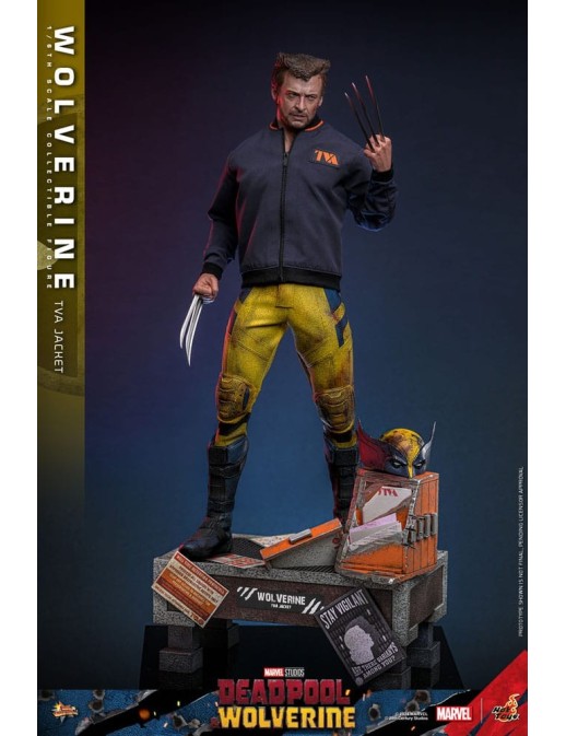 Hot Toys Movie Masterpiece Deadpool & Wolverine Wolverine TVS Jacket Version 1/6 Scale Collectible Figure