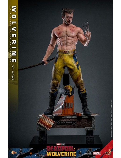 Hot Toys Movie Masterpiece Deadpool & Wolverine Wolverine TVS Jacket Version 1/6 Scale Collectible Figure