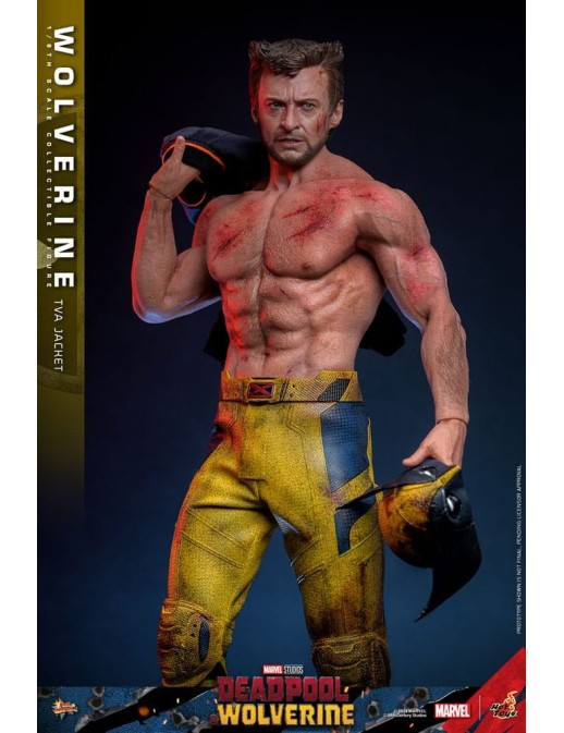Hot Toys Movie Masterpiece Deadpool & Wolverine Wolverine TVS Jacket Version 1/6 Scale Collectible Figure
