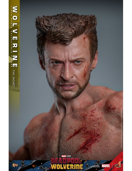 Hot Toys Movie Masterpiece Deadpool & Wolverine Wolverine TVS Jacket Version 1/6 Scale Collectible Figure