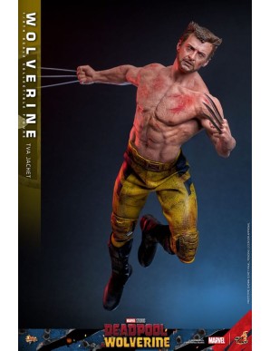 Hot Toys Movie Masterpiece Deadpool & Wolverine Wolverine TVS Jacket Version 1/6 Scale Collectible Figure
