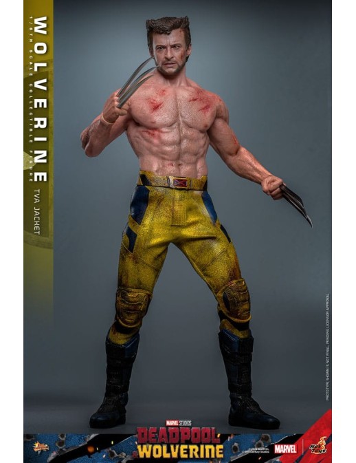 Hot Toys Movie Masterpiece Deadpool & Wolverine Wolverine TVS Jacket Version 1/6 Scale Collectible Figure