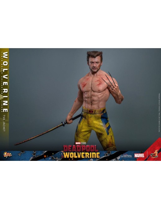 Hot Toys Movie Masterpiece Deadpool & Wolverine Wolverine TVS Jacket Version 1/6 Scale Collectible Figure