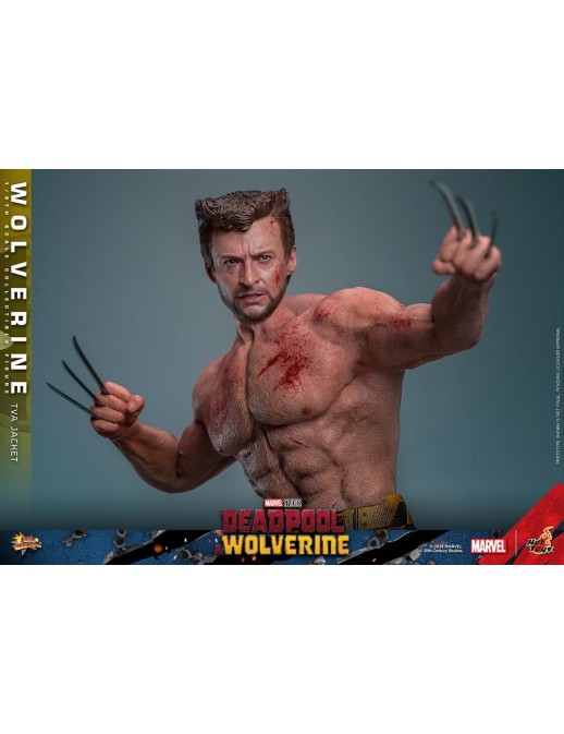 Hot Toys Movie Masterpiece Deadpool & Wolverine Wolverine TVS Jacket Version 1/6 Scale Collectible Figure