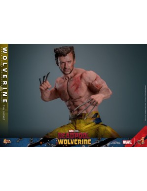 Hot Toys Movie Masterpiece Deadpool & Wolverine Wolverine TVS Jacket Version 1/6 Scale Collectible Figure
