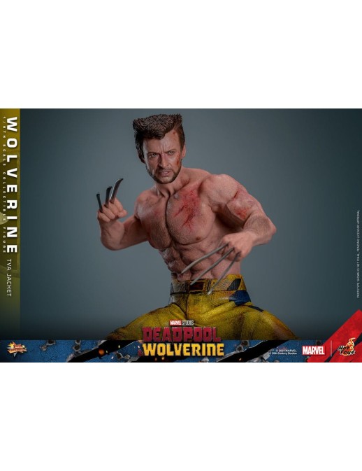 Hot Toys Movie Masterpiece Deadpool & Wolverine Wolverine TVS Jacket Version 1/6 Scale Collectible Figure