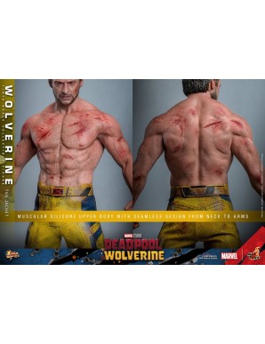 Hot Toys Movie Masterpiece Deadpool & Wolverine Wolverine TVS Jacket Version 1/6 Scale Collectible Figure