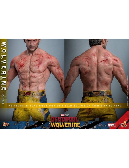 Hot Toys Movie Masterpiece Deadpool & Wolverine Wolverine TVS Jacket Version 1/6 Scale Collectible Figure