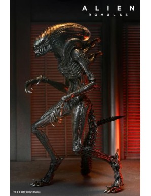 Neca Alien Romulus Scorched Alien Xenomorph